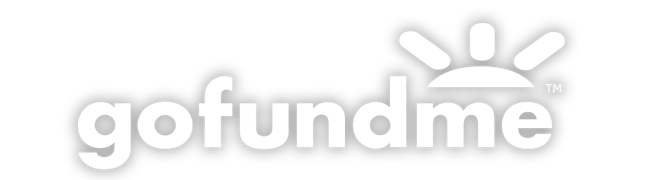 Gofundme Case Study Gofundme Case Study